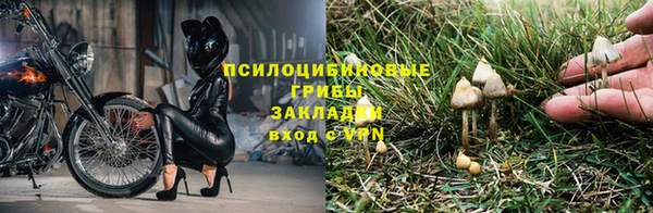 каннабис Верея