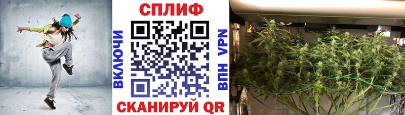 Купить закладки  Мегион  Конопля ГИДРОПОН 